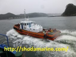Seiriu Maru Tugboat