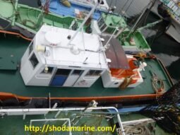 Seiriu Maru Tugboat