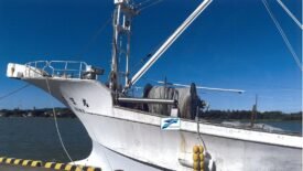 Mikasa Maru Stern Trawler